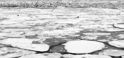 Fed By Our Lands, an article for Footprints Magazine by Cheeseburger Brown - illustration by the author