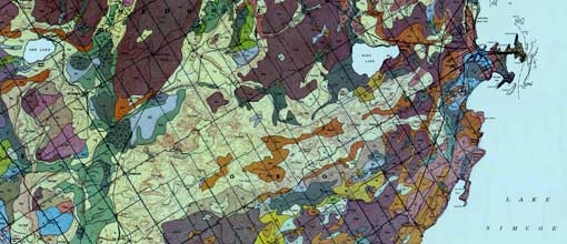 Stripes of the Strange, an article for Footprints Magazine by Cheeseburger Brown - illustration by the author