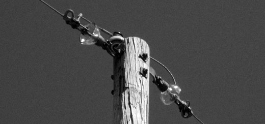 Wrong Number, an article for Footprints Magazine by Cheeseburger Brown