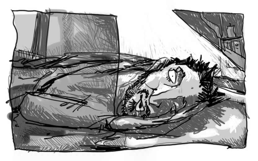 17 Drawings: Illustration 1: Wake-up Light Shaft