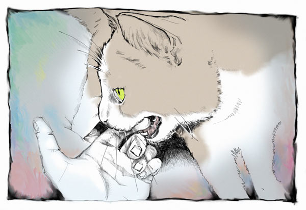 Goodbye to Kitty: Illustration 3: Clem the Cat Biting my Fingers