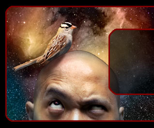 Photo-illustration by Matthew Hemming